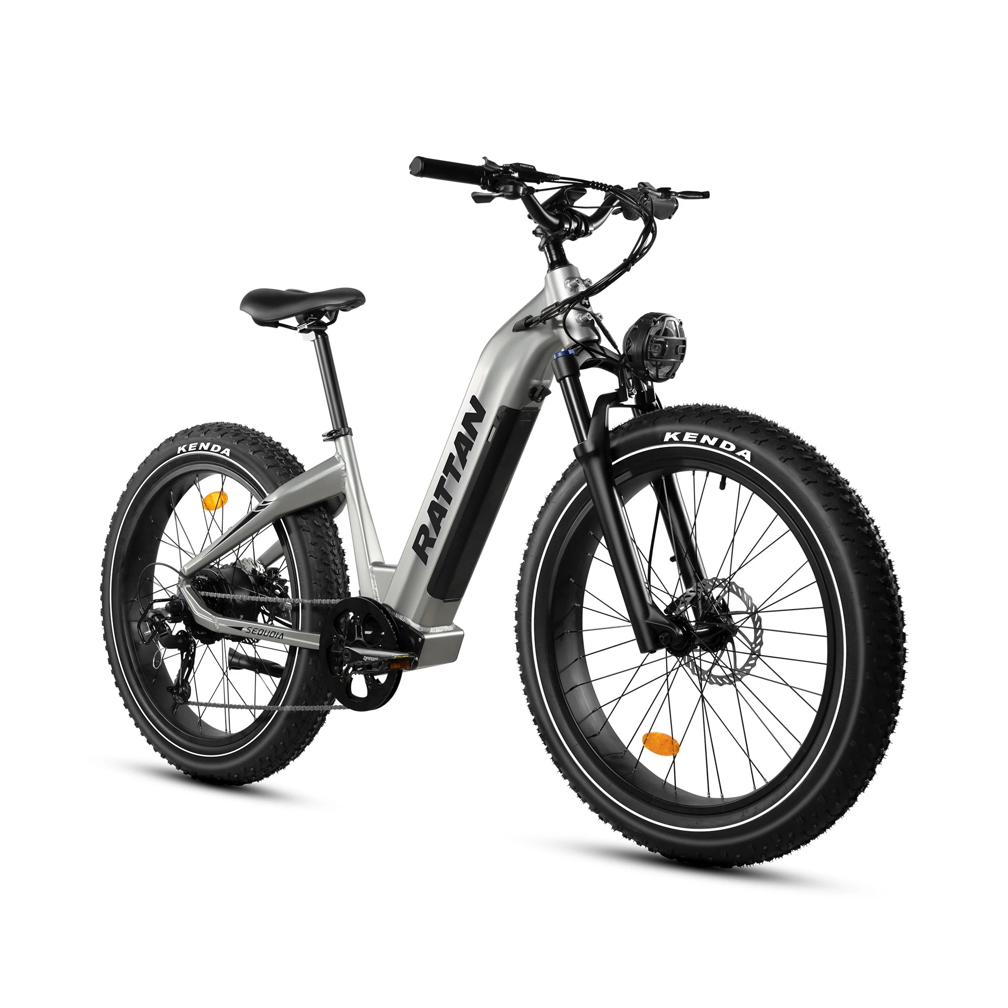 RATTAN Sequoia 48V20Ah Battery  Adult electric bike 750W Motor City ebike  26 inches fat tire E-Mountain bike