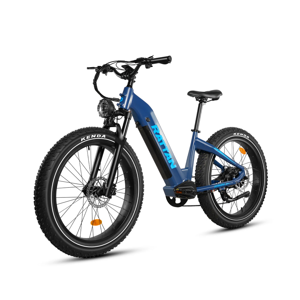 RATTAN Sequoia 48V20Ah Battery  Adult electric bike 750W Motor City ebike  26 inches fat tire E-Mountain bike