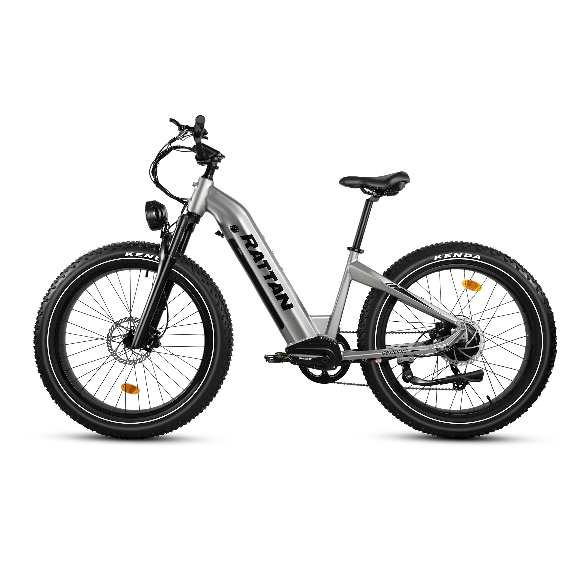 RATTAN Sequoia 48V20Ah Battery  Adult electric bike 750W Motor City ebike  26 inches fat tire E-Mountain bike