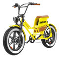 iENYRID C8  Adult Electric Bike 48V17Ah Battery 700W Motor E-Mountain bike 20 Inch Fat Tire Off-road E-bike