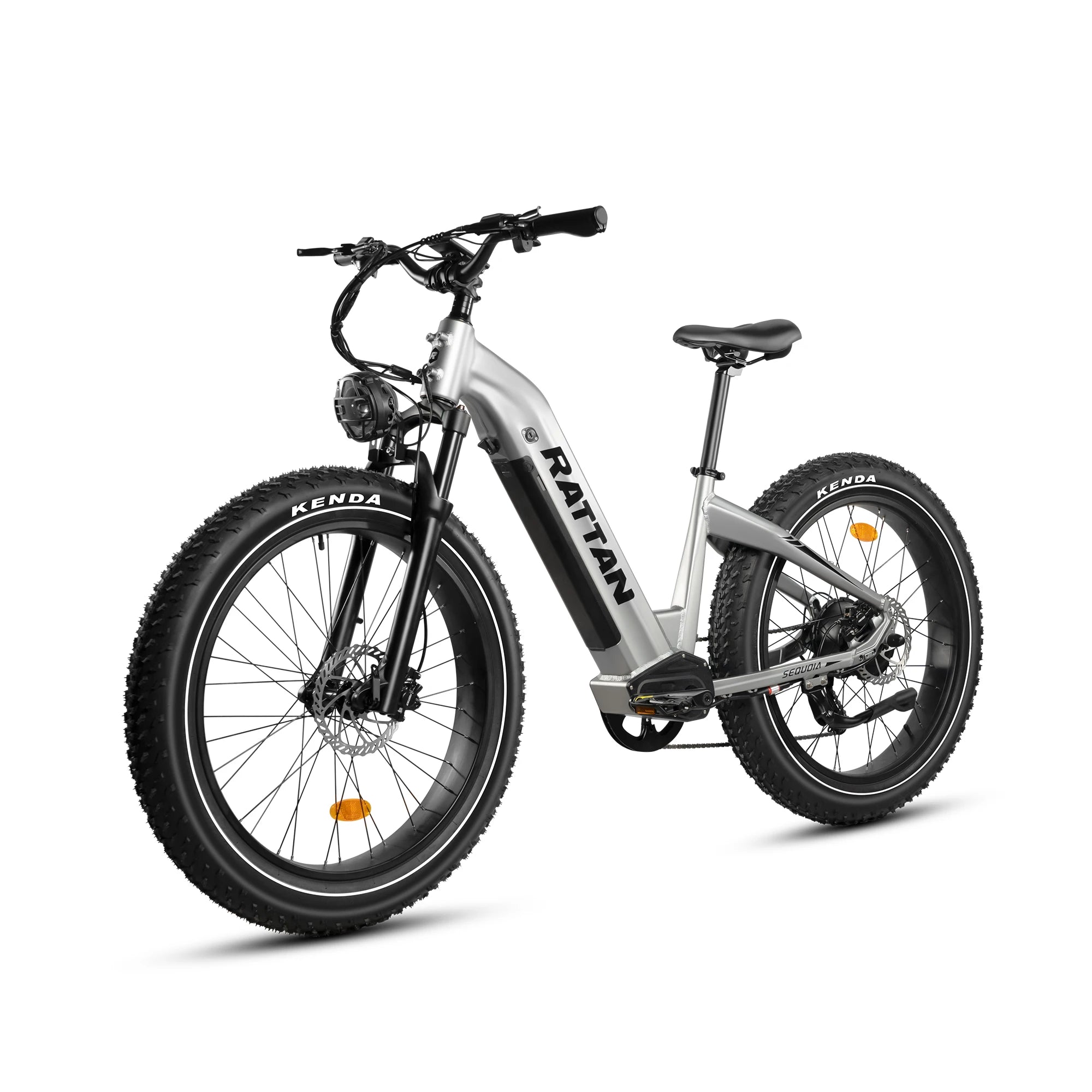 RATTAN Sequoia 48V20Ah Battery  Adult electric bike 750W Motor City ebike  26 inches fat tire E-Mountain bike